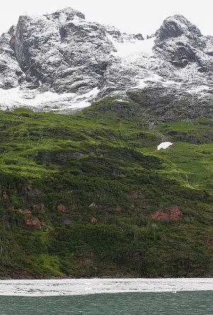 ice grass and water.jpg